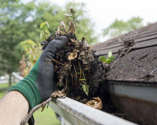 clogged-gutter-on-shingle-roof clogged-gutter-on-shingle-roof