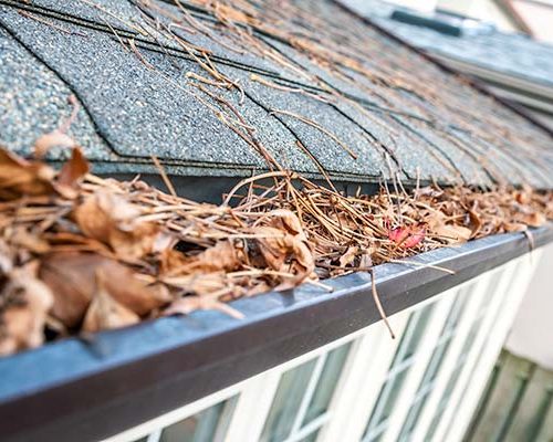 gutter-cleaning-services gutter-cleaning-services